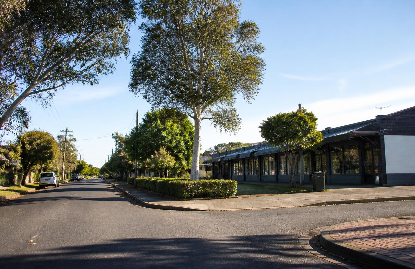 A leafy Panania corner where a small local shopfront strip meets a residential street